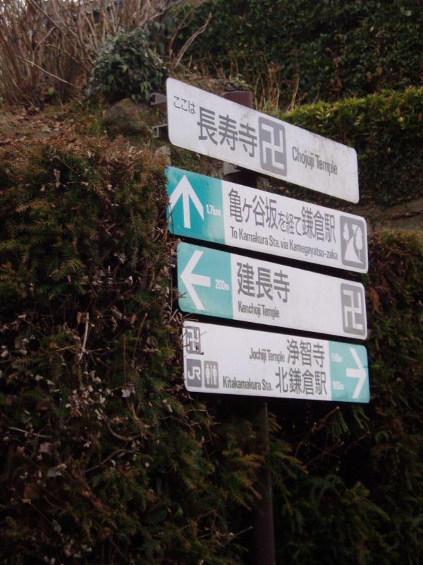 127kamegayatsu.jpg