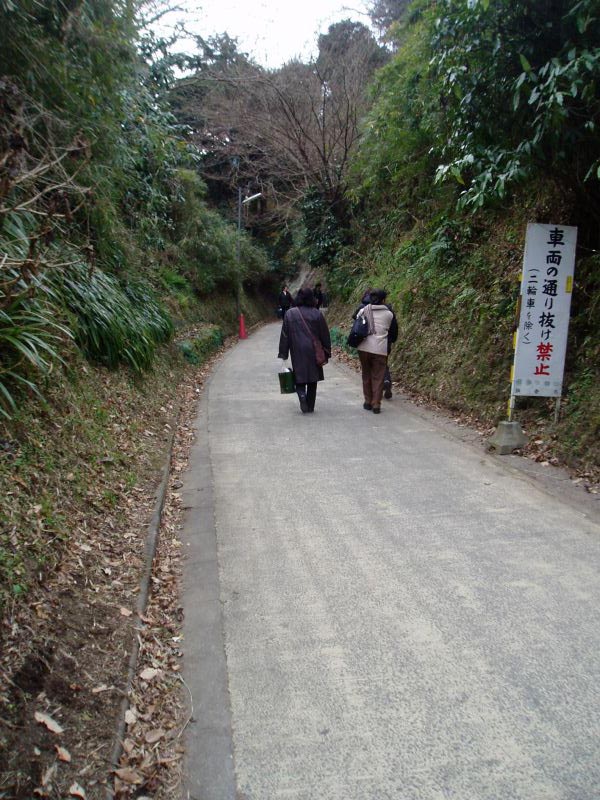 130kamegayatsu.jpg