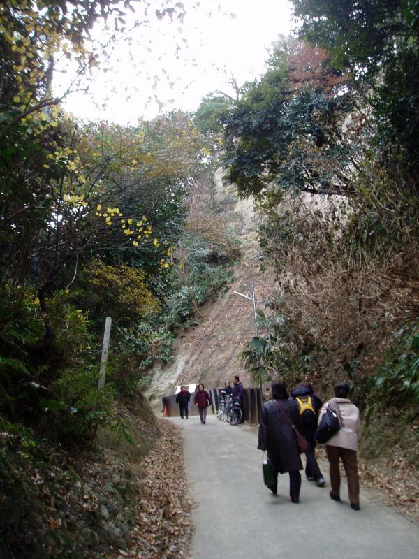 132kamegayatsu.jpg