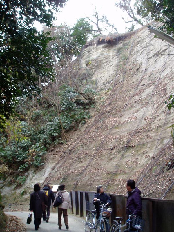 133kamegayatsu.jpg