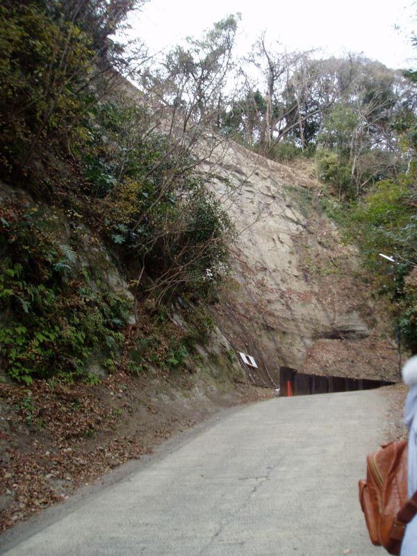 138kamegayatsu.jpg