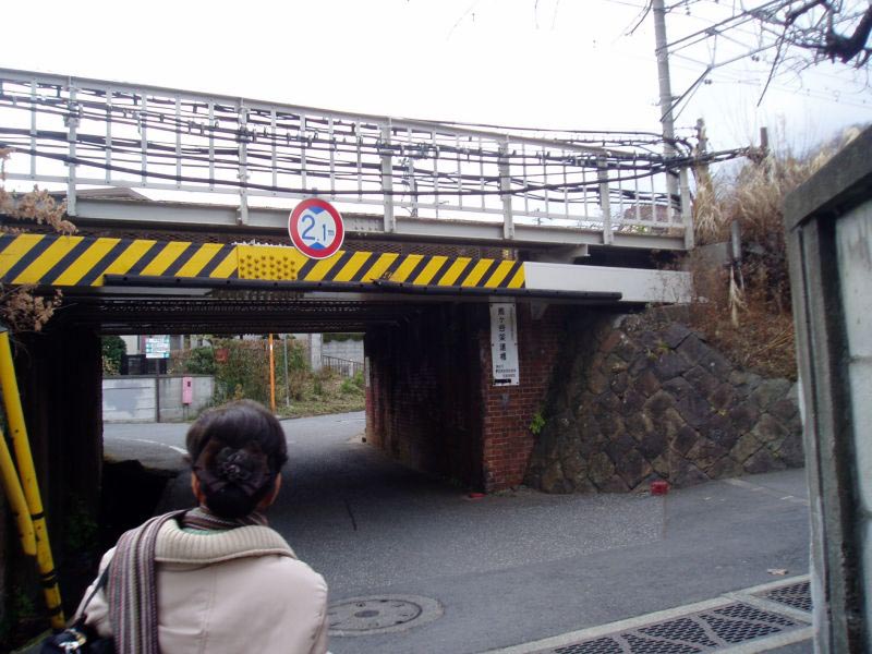 152kamegayatsu.jpg
